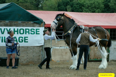 101.2026-08-20-Gillingham-Sahaftesbury-Show-Shaftesbury-Dorset.-101
