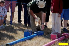 213.2026-08-20-Gillingham-Sahaftesbury-Show-Shaftesbury-Dorset.-213-Ferret-Racing.-