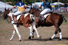 365.2026-08-20-Gillingham-Sahaftesbury-Show-Shaftesbury-Dorset.-368-Polo.-