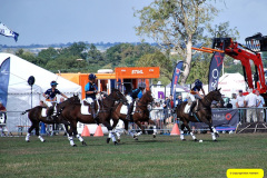 365.2026-08-20-Gillingham-Sahaftesbury-Show-Shaftesbury-Dorset.-371-Polo.-