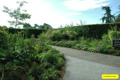 003.2026-08-21-Kingston-Lacy-NT-Wimborne-Dorset.-3-