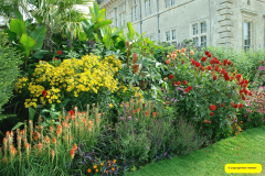 007.2026-08-21-Kingston-Lacy-NT-Wimborne-Dorset.-7-
