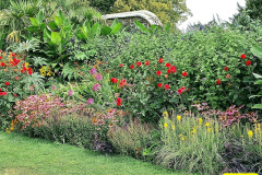008.2026-08-21-Kingston-Lacy-NT-Wimborne-Dorset.-8-