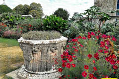 009.2026-08-21-Kingston-Lacy-NT-Wimborne-Dorset.-9-