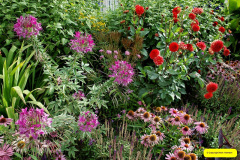 013.2026-08-21-Kingston-Lacy-NT-Wimborne-Dorset.-13-