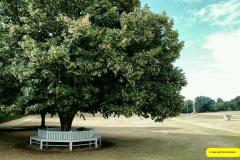 020.2026-08-21-Kingston-Lacy-NT-Wimborne-Dorset.-20-