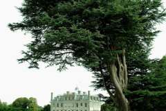 025.2026-08-21-Kingston-Lacy-NT-Wimborne-Dorset.-25-