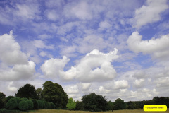 039.2026-08-21-Kingston-Lacy-NT-Wimborne-Dorset.-39-