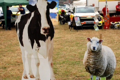 008.2026-08-27-Lelplash-Show-Bridport-Dorset.-8-