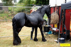 100.2026-08-27-Lelplash-Show-Bridport-Dorset.-100-