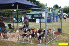 103.2026-08-27-Lelplash-Show-Bridport-Dorset.-103-