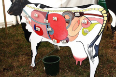 120.2026-08-27-Lelplash-Show-Bridport-Dorset.-120-