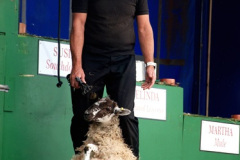 129.2026-08-27-Lelplash-Show-Bridport-Dorset.-129-