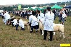 190.2026-08-27-Lelplash-Show-Bridport-Dorset.-190-