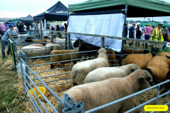 200.2026-08-27-Lelplash-Show-Bridport-Dorset.-200-