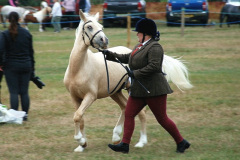 205.2026-08-27-Lelplash-Show-Bridport-Dorset.-205-