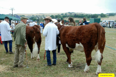 219.2026-08-27-Lelplash-Show-Bridport-Dorset.-219-