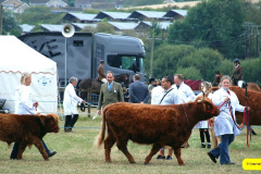 221.2026-08-27-Lelplash-Show-Bridport-Dorset.-221-
