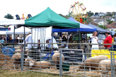 222.2026-08-27-Lelplash-Show-Bridport-Dorset.-222-