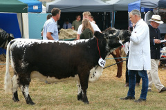225.2026-08-27-Lelplash-Show-Bridport-Dorset.-225-