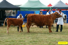 228.2026-08-27-Lelplash-Show-Bridport-Dorset.-228-