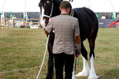 230.2026-08-27-Lelplash-Show-Bridport-Dorset.-230-
