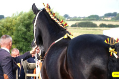 231.2026-08-27-Lelplash-Show-Bridport-Dorset.-231-