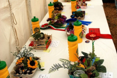 298.2026-08-27-Lelplash-Show-Bridport-Dorset.-297-