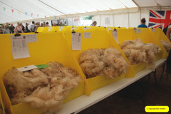 354.2026-08-27-Lelplash-Show-Bridport-Dorset.-353-