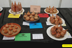 360.2026-08-27-Lelplash-Show-Bridport-Dorset.-359-
