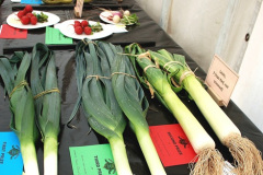 361.2026-08-27-Lelplash-Show-Bridport-Dorset.-360-