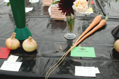 364.2026-08-27-Lelplash-Show-Bridport-Dorset.-363-