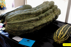 368.2026-08-27-Lelplash-Show-Bridport-Dorset.-367-