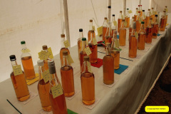390.2026-08-27-Lelplash-Show-Bridport-Dorset.-389-