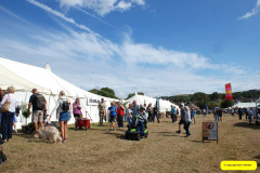 398.2026-08-27-Lelplash-Show-Bridport-Dorset.-397-