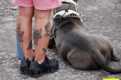 499.2026-08-30-Truckfest-Shepton-Mallet-Somerset.-499-Truckfest-Tattoo