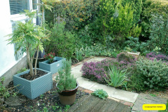 004.2026-02-17-A-Poole-Garden-in-Winter.-4-