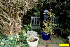 032.2026-02-17-A-Poole-Garden-in-Winter.-32-