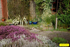 051.2026-02-17-A-Poole-Garden-in-Winter.-51-