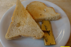 011.2026-02-17-To-Holme-Garden-Centre-for-breakfast-Garden.-11-