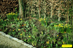 026.2026-02-17-To-Holme-Garden-Centre-for-breakfast-Garden.-26-