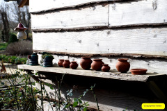 051.2026-02-17-To-Holme-Garden-Centre-for-breakfast-Garden.-51-