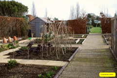 054.2026-02-17-To-Holme-Garden-Centre-for-breakfast-Garden.-54-