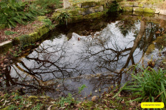 062.2026-02-17-To-Holme-Garden-Centre-for-breakfast-Garden.-62-