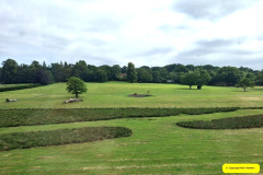 069.2026-06-15-16-New-Forest-Break-69-Burley.-