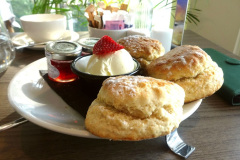 006.2026-03-20-Harbour-Heights-Hotel-Poole-Dorset-Afternoon-tea.-6-