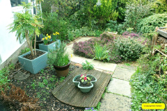 008.2026-03-15-A-Poole-Garden-on-Mothering-Sunday.-8-