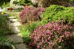 030.2026-03-15-A-Poole-Garden-on-Mothering-Sunday.-30-