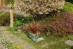 040.2026-03-15-A-Poole-Garden-on-Mothering-Sunday.-40-