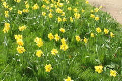 004.2026-03-25-to-27-Wiltshire-3-Day-Break.-4-Stourhead-NT-1